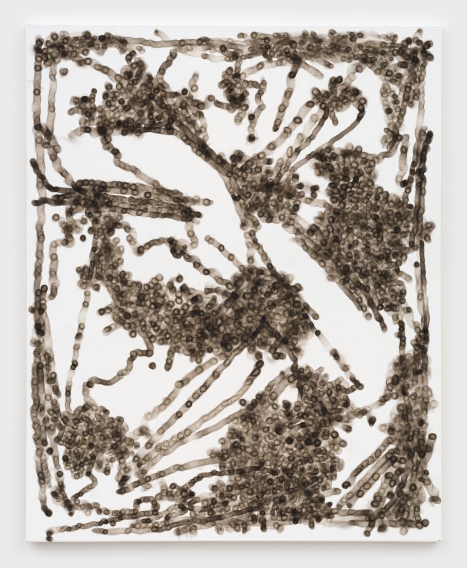 images/logo.jpg